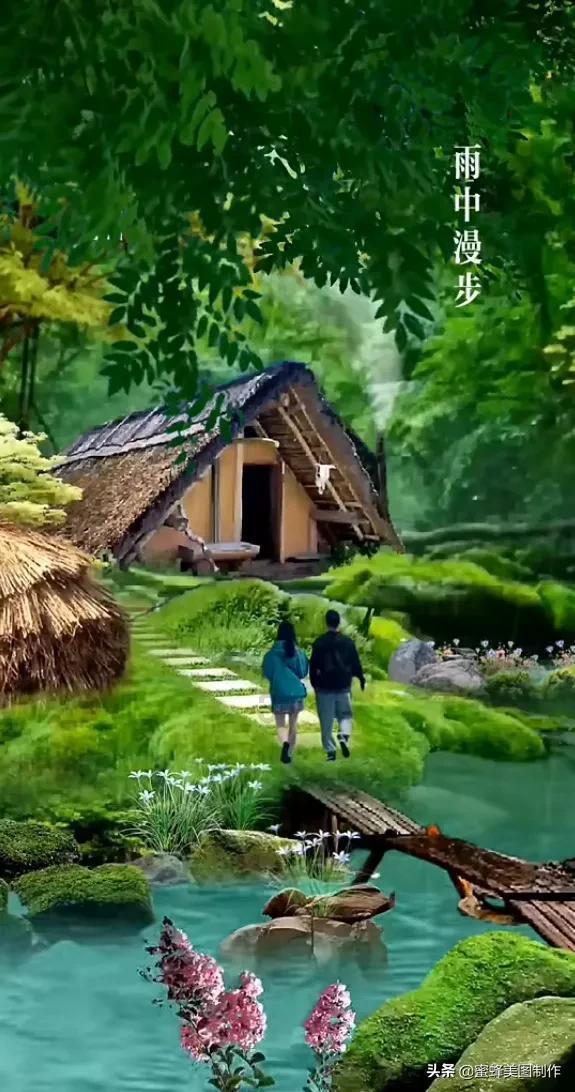 哇鸟森林逃生
